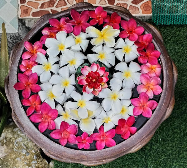 fleurs japonaises